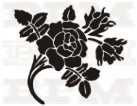 /album/kvety-stromy/kvety-15-jpg/